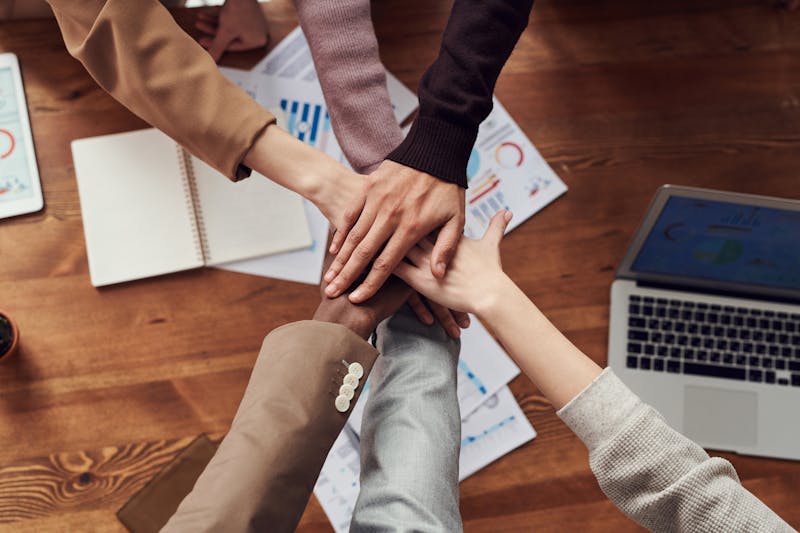 Creator discovery and campaign planning interface